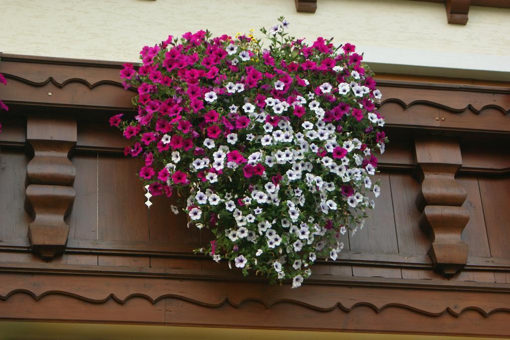 Gaestehaus Kuebler ภายนอก รูปภาพ